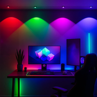 Arlec Grid Connect Smart Wall Washing Lights 5m RGB CCT