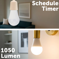 Arlec E27 12W smart LED globe, 1050lm CCT colour mode Grid Connect bulb